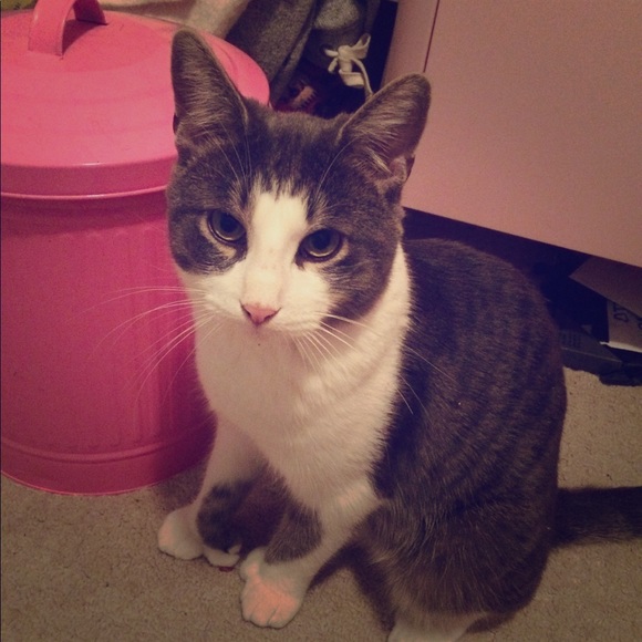 Meet your Posher, Jessica - Picture 1 of 1